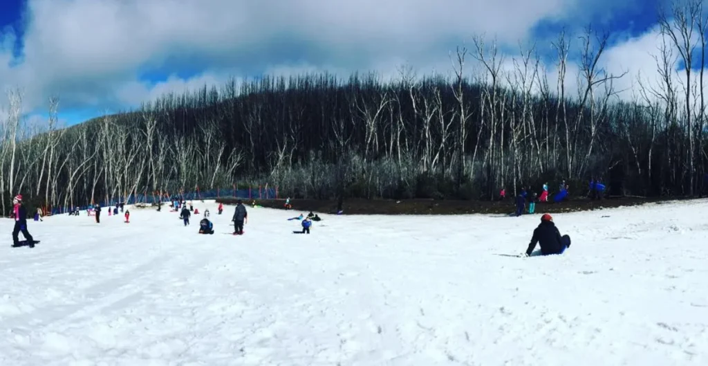 Exploration of Snow Escapes Near Melbourne During Winter